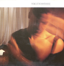Picnic At The Whitehouse: The Doors Are Open LP (Käyt)