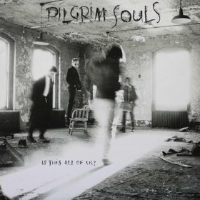 Pilgrim Souls: Is This All Of Us? LP (Käyt)