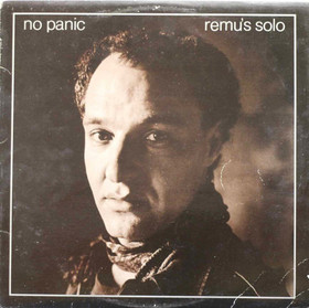 Remu: No Panic LP (Käyt)