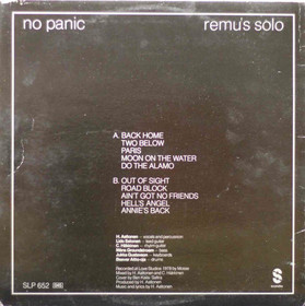 Remu: No Panic LP (Käyt)