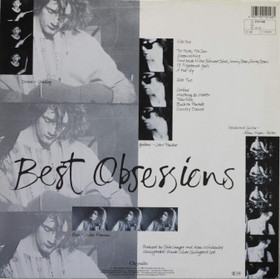 Rex: Best Obsessions LP (Käyt)