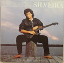Ricardo Silveira: Long Distance LP (Käyt)