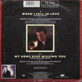 Rick Astley: When I Fall In Love / My Arms Keep Missing You 7