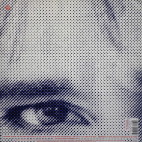 Rod Stewart: Camouflage LP (Käyt)