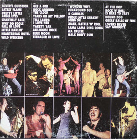 Sha Na Na: The Golden Age Of Rock 'N' Roll 2LP (Käyt)