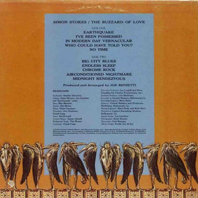 Simon Stokes: The Buzzard Of Love LP (Käyt)