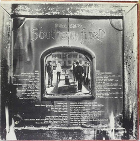 Southern Fried: A Little Taste Of Southern Fried LP (Käyt)