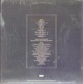 Spyder Turner: Music Web LP (Käyt)