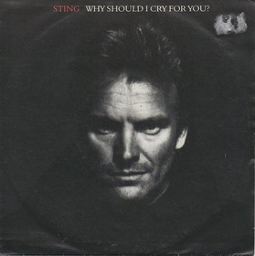 Sting: Why Should I Cry For You? 7