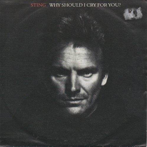 Sting: Why Should I Cry For You? 7
