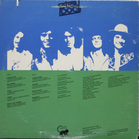 Stray Dog: While You're Down There LP (Käyt)