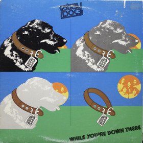 Stray Dog: While You're Down There LP (Käyt)