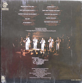 Stylistics: Fabulous LP (Käyt)