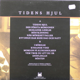 Susanne Alfvengren: Tidens Hjul LP (Käyt)