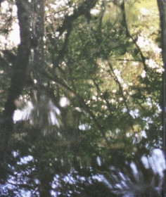 Territories: Territoriale Tagesmusik LP+kirja (Käyt)