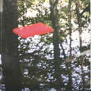 Territories: Territoriale Tagesmusik LP+kirja (Käyt)