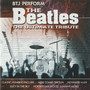 BTJ: BTJ Perform The Beatles The Ultimate Tribute CD (Käyt)