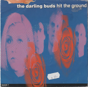 Darling Buds: Hit The Ground 7