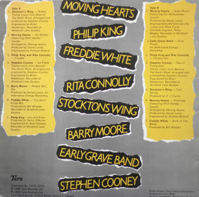 V/A: The Irish Folk Collection LP (Käyt)