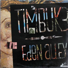 Timbuk 3: Eden Alley LP (Käyt)