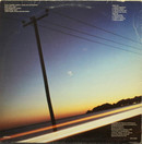 Uuge Päts: Classified Brains LP (Käyt)