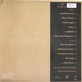 Vinnie James: All American Boy LP (Käyt)