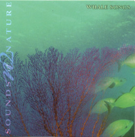 Paul Rayner-Brown: Whale Songs - Sounds of Nature CD (Käyt)