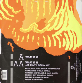 Where's The Fire: What It Is 12