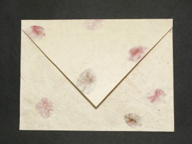 17x23cm bougainvillea