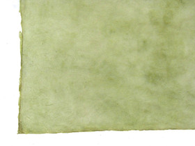 50x75cm salvia2 D/40