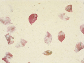 50x75cm bougainvillea D/40