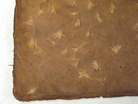 50x75cm ruiskukan varjoa, ruskea