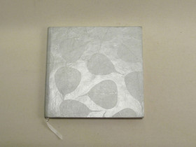 Vieraskirja neliö, hopeapipal