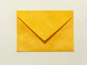 Appelsiinin keltainen OYL1