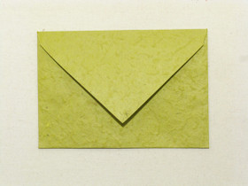 Salvian vihreä Sauge