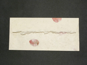 11x23cm bougainvillea