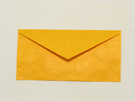 Appelsiinin keltainen OYL1