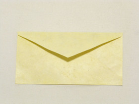 Vaaleankeltainen YL4