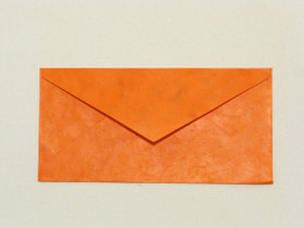 Voimakas oranssi OR1