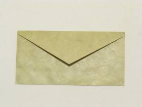 Salvianvihreä Sauge