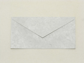 Vaaleanharmaa Light Gray