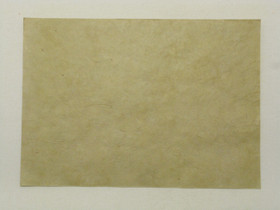 A4 salvian vihreä Sauge, suora reuna