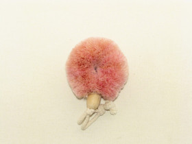 Kuivaharja, 'Sport', pinkki B11DP