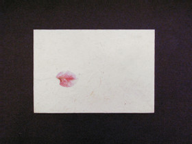 11x16cm bougainvillea