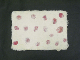 A4 bougainvillea D/40, revitty reuna