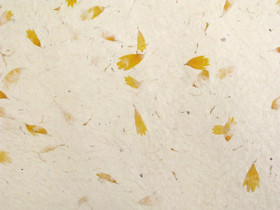 50x75cm kehäkukka D/40