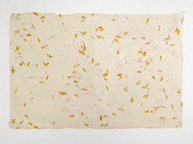 50x75cm kehäkukka D/40