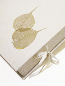 Adressilaatikko, C01 kultapipal, valkea (myös ilman koristetta)