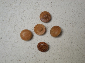 Puunappi, puolipallo kannalla W29