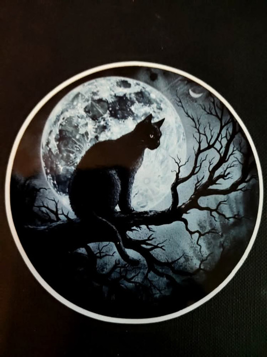 Cat and the moon Sticker